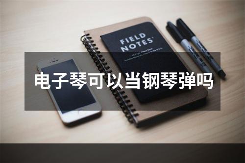 电子琴可以当钢琴弹吗