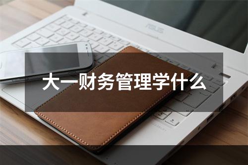 大一财务管理学什么