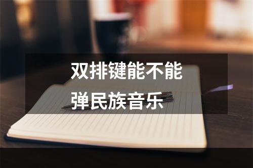 双排键能不能弹民族音乐