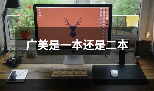 广美是一本还是二本