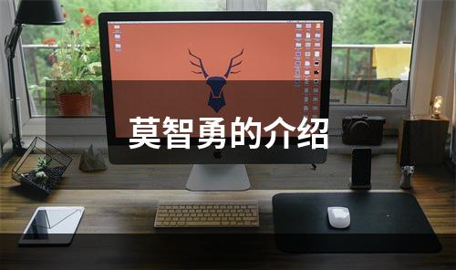 莫智勇的介绍