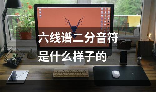 六线谱二分音符是什么样子的