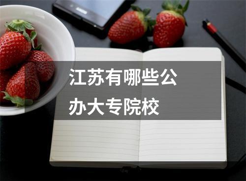 江苏有哪些公办大专院校