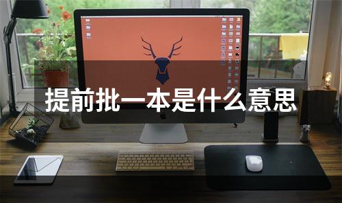 提前批一本是什么意思