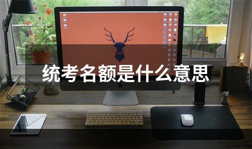 统考名额是什么意思