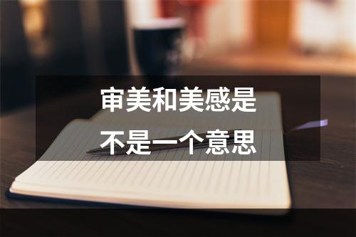 审美和美感是不是一个意思