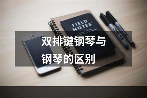 双排键钢琴与钢琴的区别