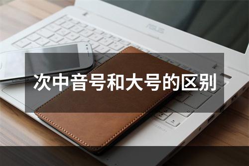 次中音号和大号的区别