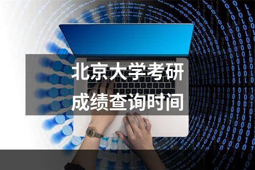 北京大学考研成绩查询时间