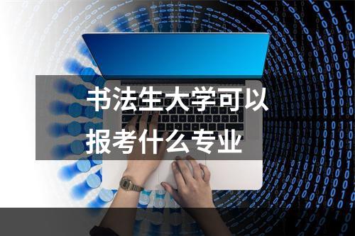 书法生大学可以报考什么专业