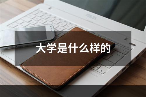 大学是什么样的
