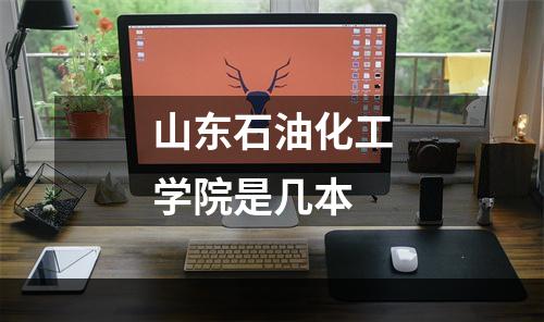 山东石油化工学院是几本