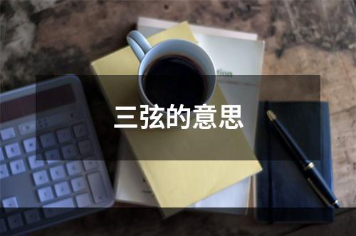 三弦的意思