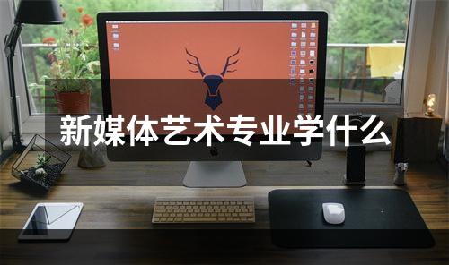 新媒体艺术专业学什么