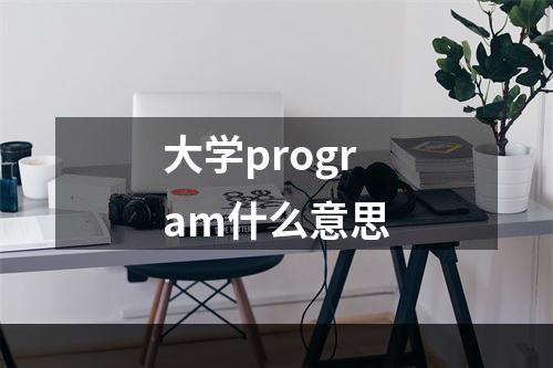 大学program什么意思