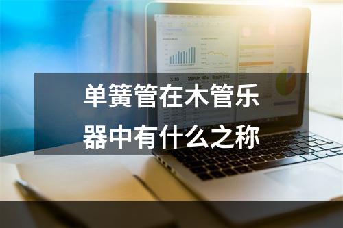 单簧管在木管乐器中有什么之称