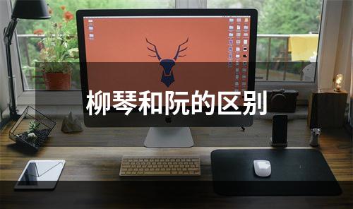 柳琴和阮的区别