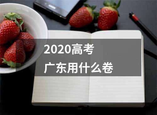 2020高考广东用什么卷