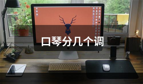 口琴分几个调