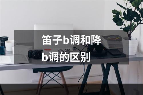 笛子b调和降b调的区别