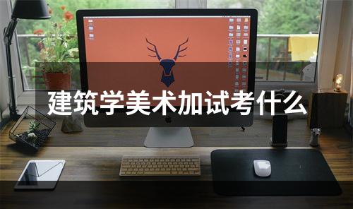 建筑学美术加试考什么