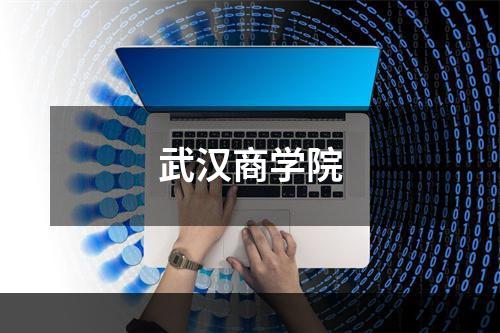武汉商学院