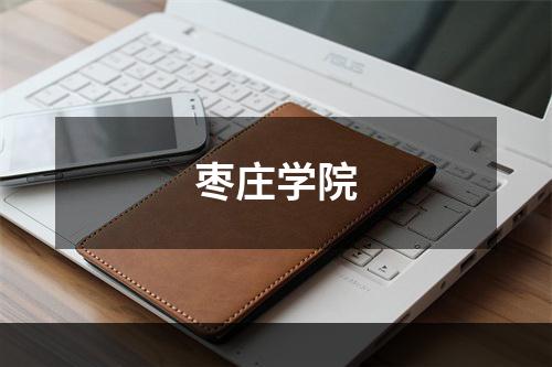枣庄学院