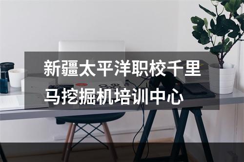 新疆太平洋职校千里马挖掘机培训中心