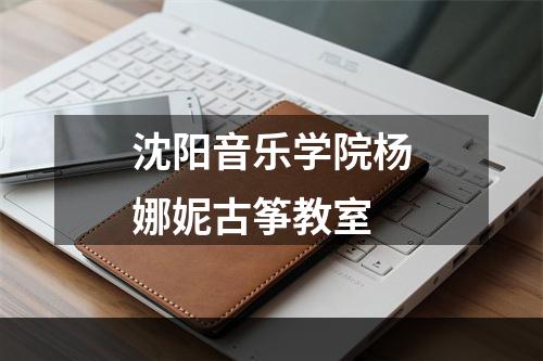 沈阳音乐学院杨娜妮古筝教室