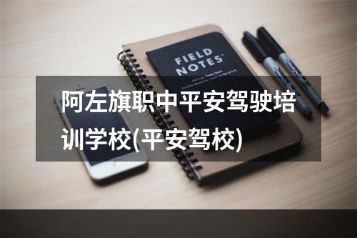 阿左旗职中平安驾驶培训学校(平安驾校)