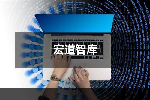 宏道智库