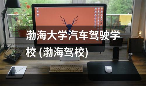 渤海大学汽车驾驶学校 (渤海驾校)