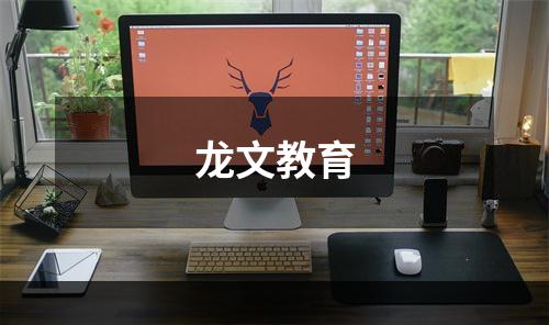 龙文教育