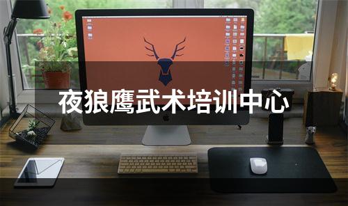 夜狼鹰武术培训中心