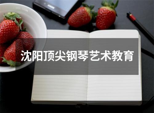 沈阳顶尖钢琴艺术教育