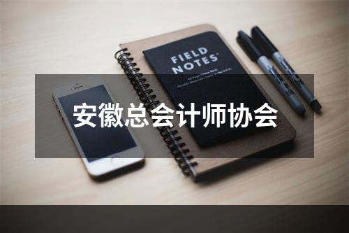 安徽总会计师协会