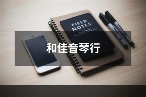 和佳音琴行