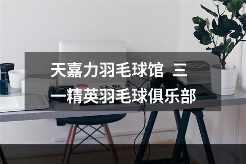 天嘉力羽毛球馆  三一精英羽毛球俱乐部