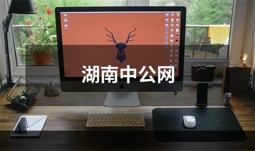 湖南中公网