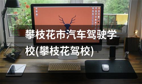 攀枝花市汽车驾驶学校(攀枝花驾校)