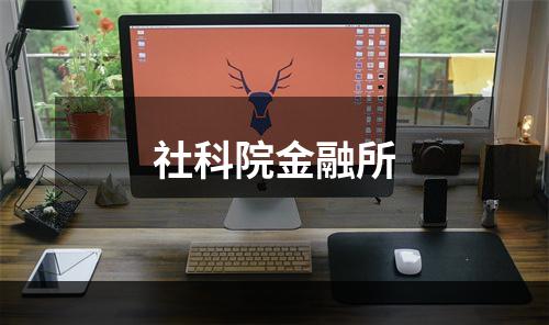 社科院金融所
