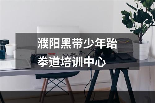 濮阳黑带少年跆拳道培训中心