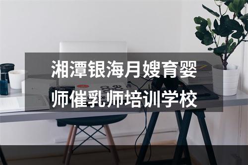 湘潭银海月嫂育婴师催乳师培训学校