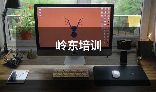 岭东培训