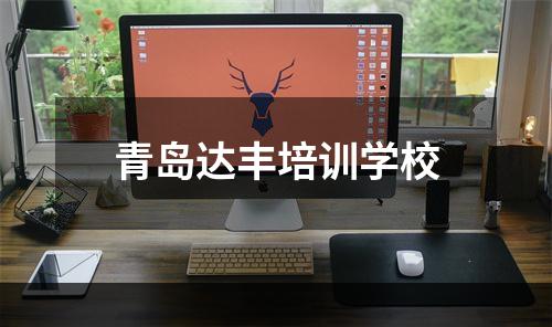 青岛达丰培训学校