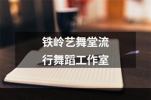 铁岭艺舞堂流行舞蹈工作室