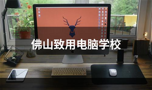 佛山致用电脑学校