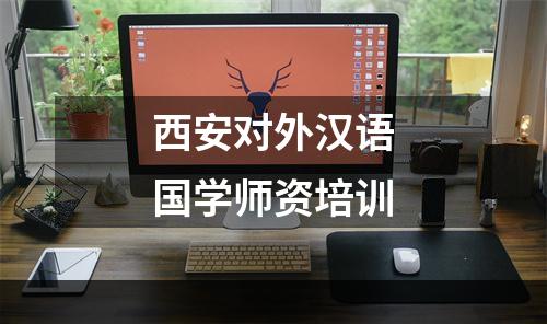 西安对外汉语国学师资培训