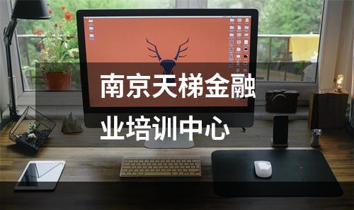 南京天梯金融业培训中心