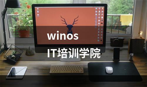 winos IT培训学院